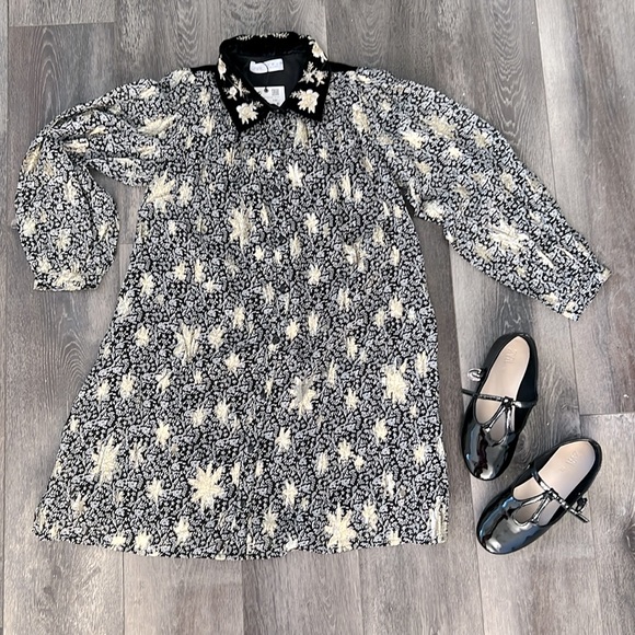 Zara Other - Zara floral velvet collar dress